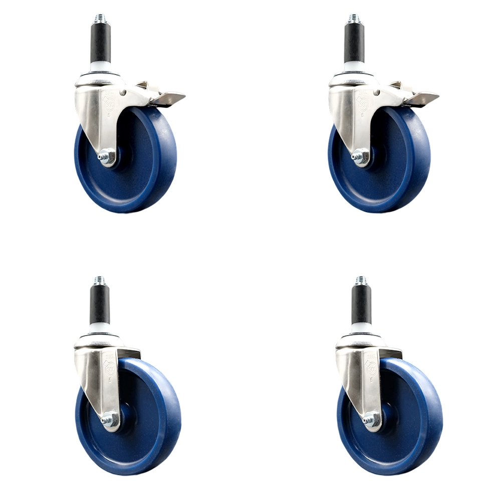 Solid Poly Swivel Stem Caster with 5 in. Blue Caster Wheels, 1.13 in. Expanding Stem - 316 Stainless Steel Casters - Set of 4