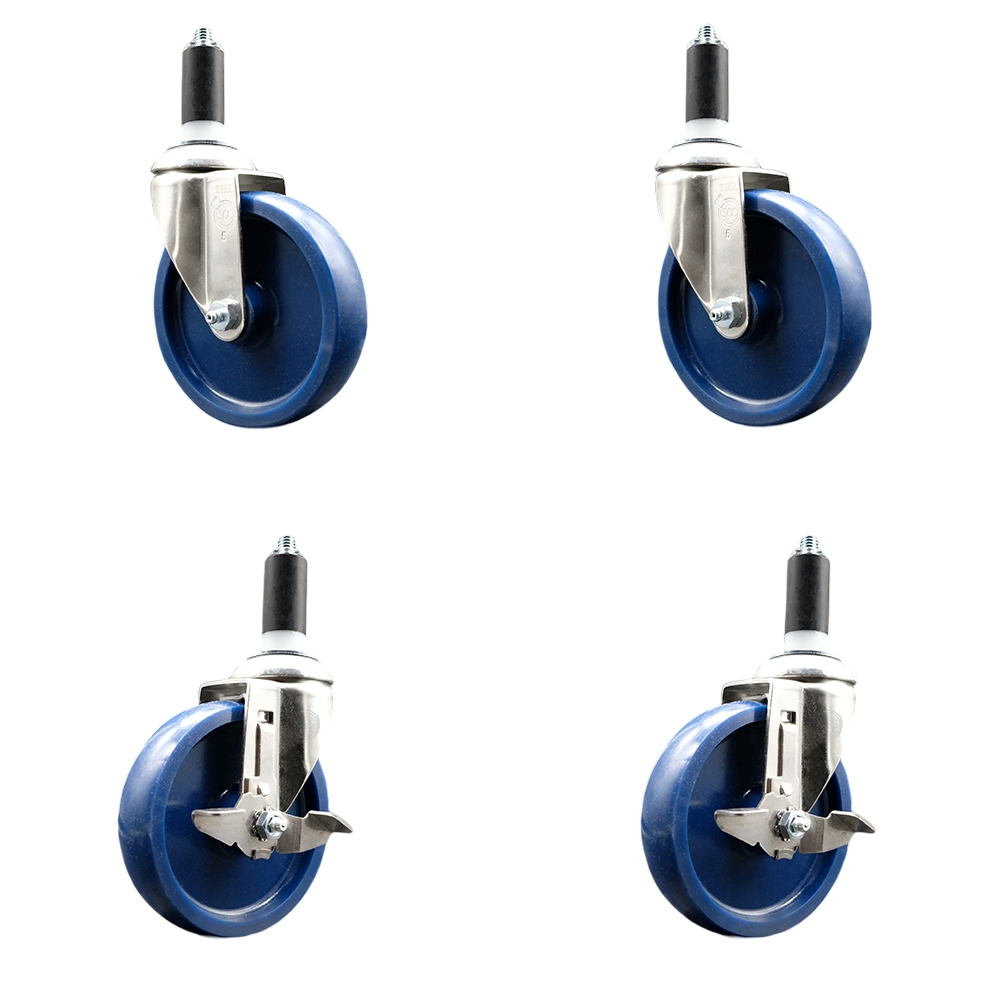 Solid Poly Swivel Stem Caster with 5 in. Blue Caster Wheels, 1.25 in. Expanding Stems - 316 Stainless Steel Casters - Set of 4