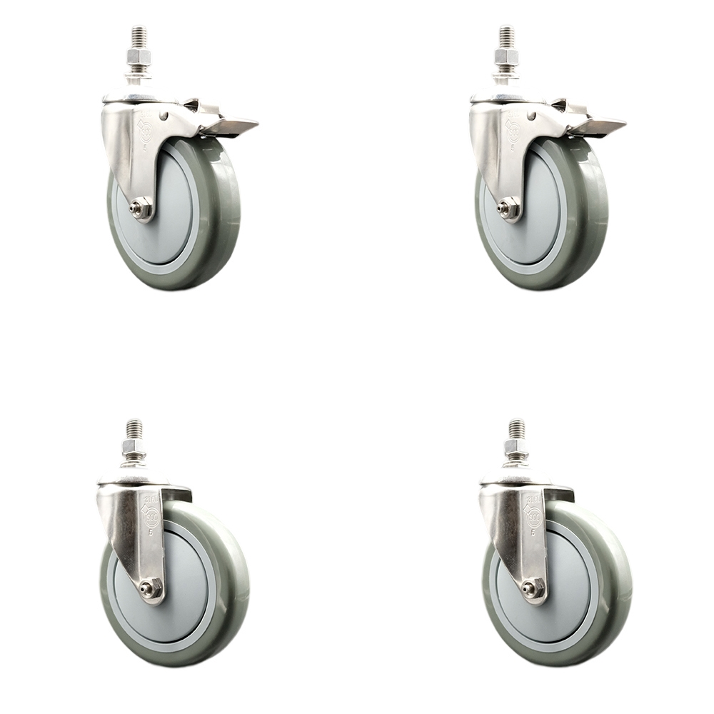 Poly Swivel Stem Caster with 5 in. Gray Caster Wheels, 0.5 in. Threaded Stems - 316 Stainless Steel Casters - Set of 4