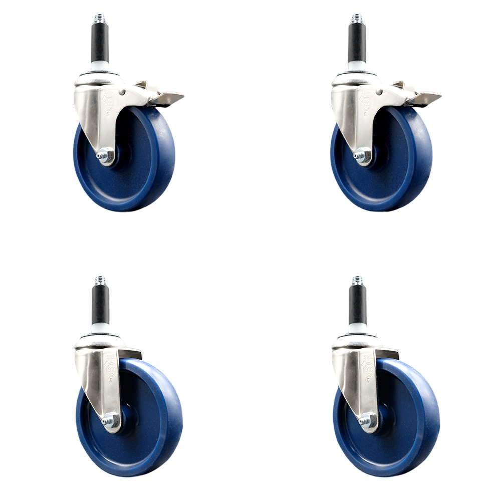 Solid Poly Swivel Stem Caster with 5 in. Blue Caster Wheels, 0.75 in. Expanding Stem - 316 Stainless Steel Casters - Set of 4