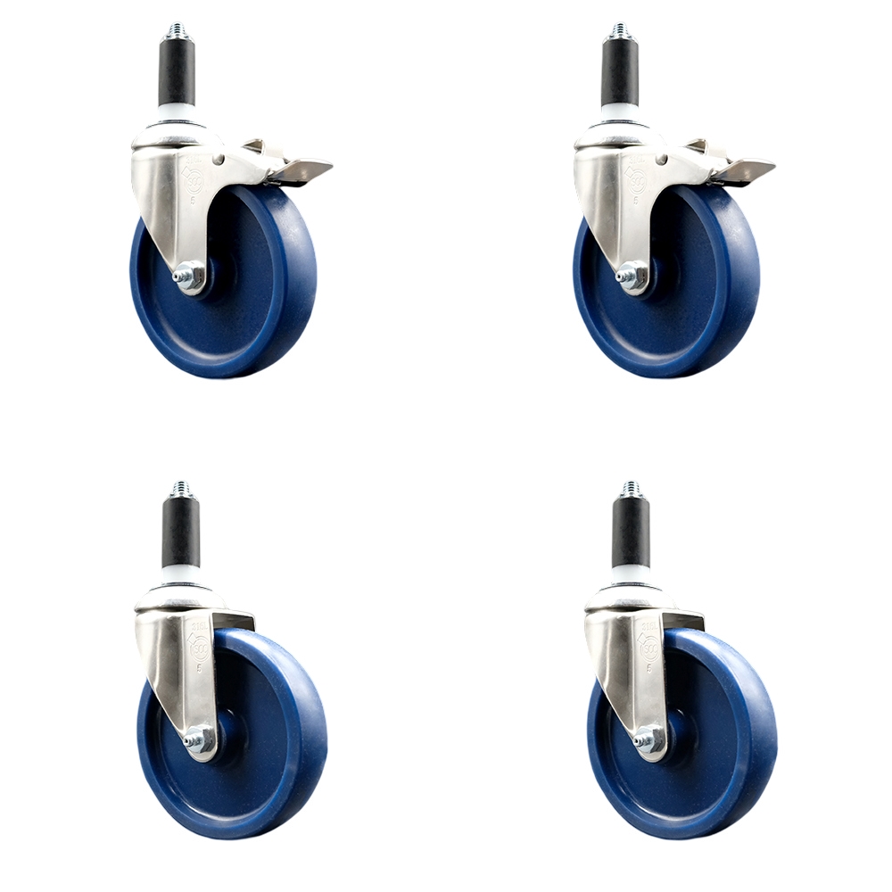 Solid Poly Swivel Stem Caster with 5 in. Blue Caster Wheels, 1.38 in. Expanding Stem - 316 Stainless Steel Casters - Set of 4