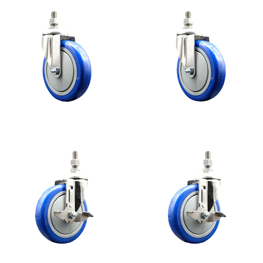 Poly Swivel Stem Caster with 5 in. Blue Caster Wheels, 0.38 in. Threaded Stems - 316 Stainless Steel Casters - Set of 4