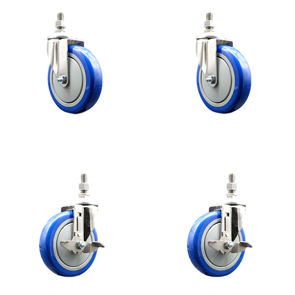 Poly Swivel Stem Caster with 5 in. Blue Caster Wheels, 12 mm Threaded Stems - 316 Stainless Steel Casters - Set of 4