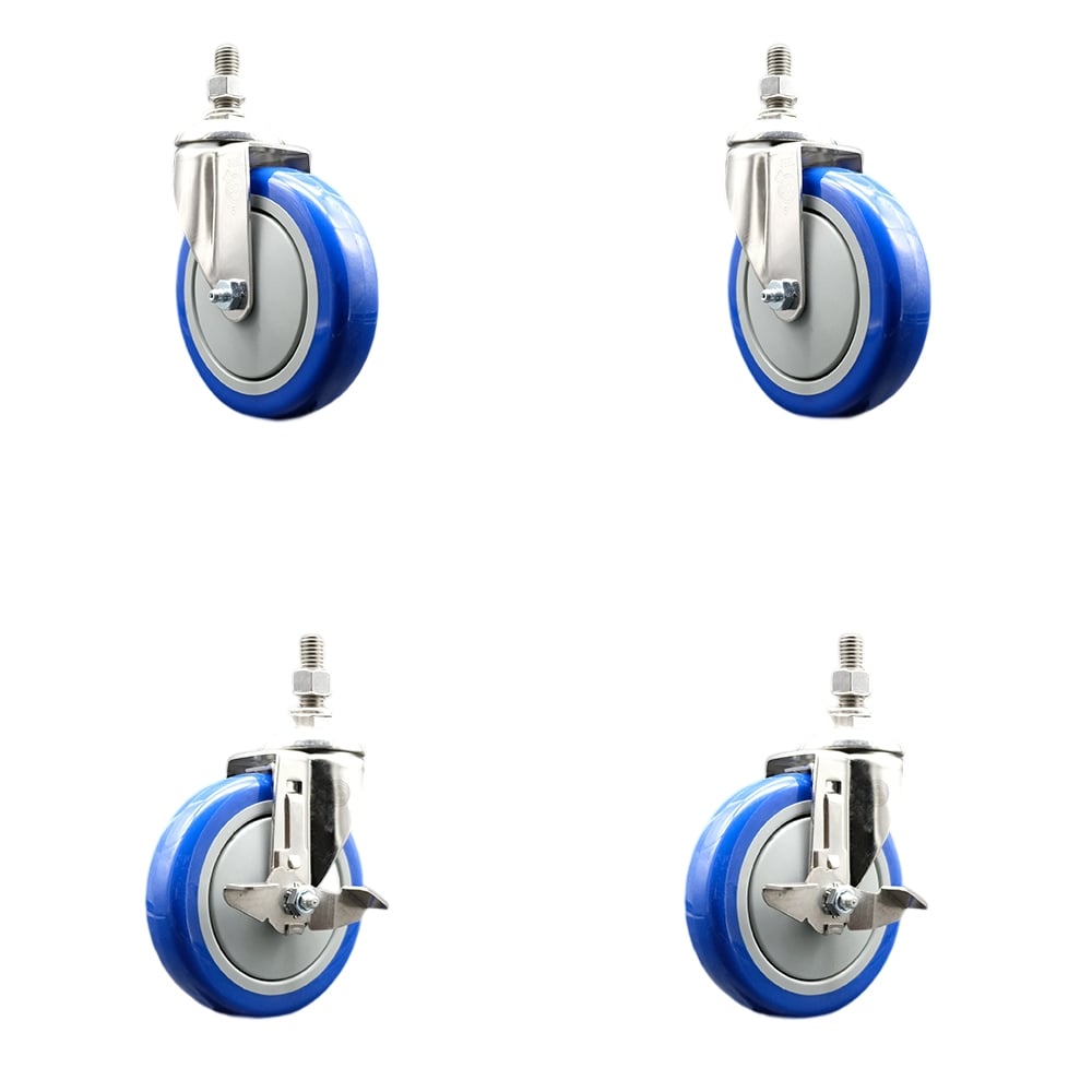 Poly Swivel Stem Caster with 5 in. Blue Caster Wheels, 0.5 in. Threaded Stems - 316 Stainless Steel Casters - Set of 4