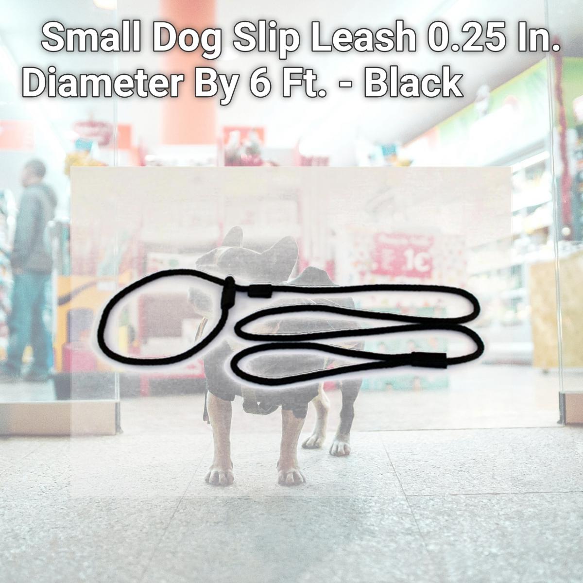 Picture of Soft Lines P20406BLACK Small Dog Slip Leash 0.25 In. Diameter By 6 Ft. - Black