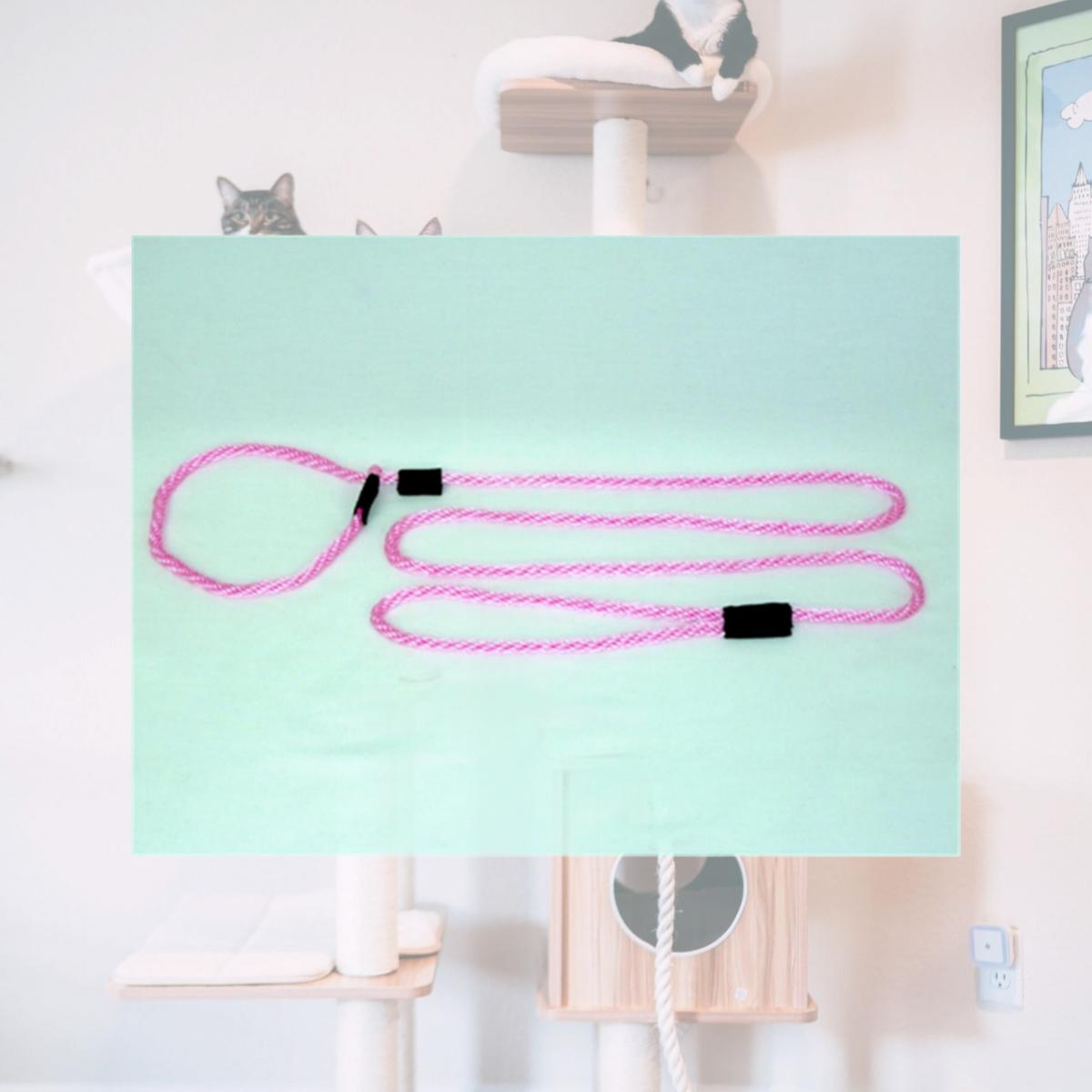 Picture of Soft Lines P20406HOTPINK Small Dog Slip Leash 0.25 In. Diameter By 6 Ft. - Hot Pink