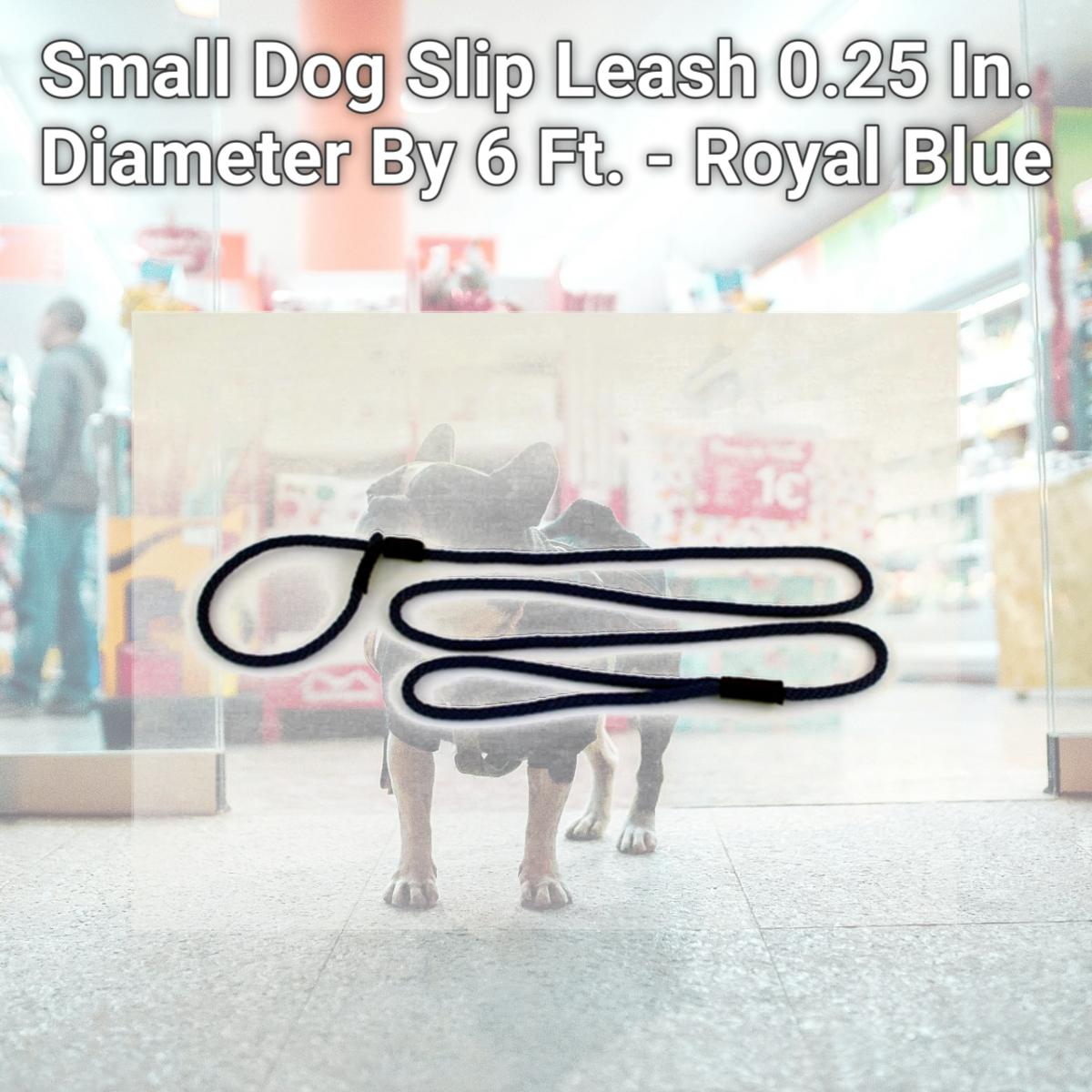 Picture of Soft Lines P20406ROYALBLUE Small Dog Slip Leash 0.25 In. Diameter By 6 Ft. - Royal Blue