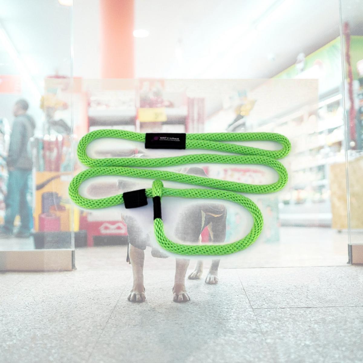Picture of Soft Lines P20608LIMEGREEN Dog Slip Leash 0.37 In. Diameter By 8 Ft. - Lime Green