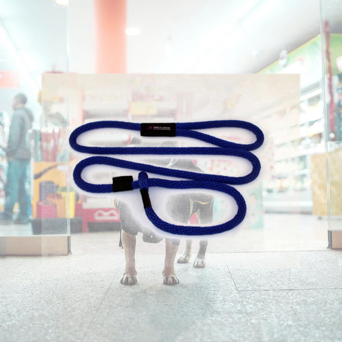 Picture of Soft Lines P20610ROYALBLUE Dog Slip Leash 0.37 In. Diameter By 10 Ft. - Royal Blue