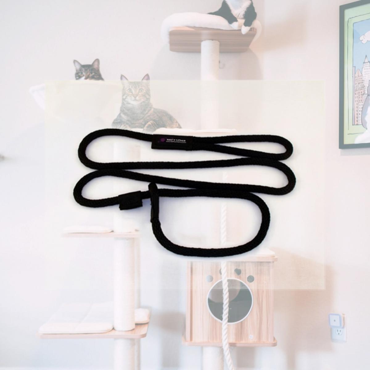 Picture of Soft Lines P20810BLACK Dog Slip Leash 0.5 In. Diameter By 10 Ft. - Black