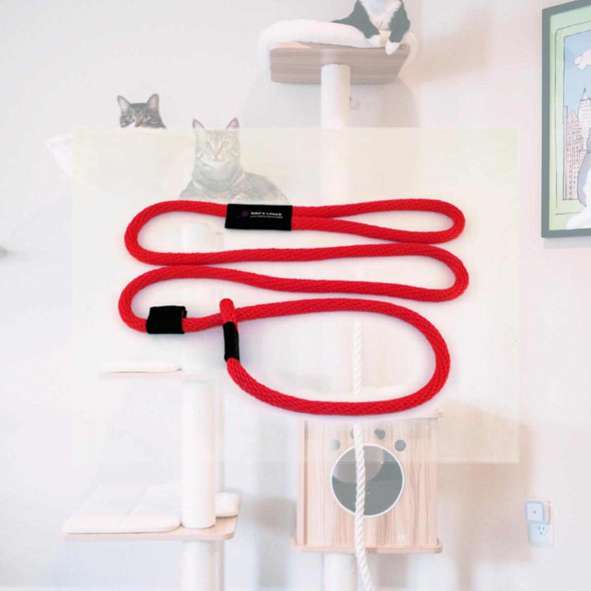 Picture of Soft Lines P20810RED Dog Slip Leash 0.5 In. Diameter By 10 Ft. - Red