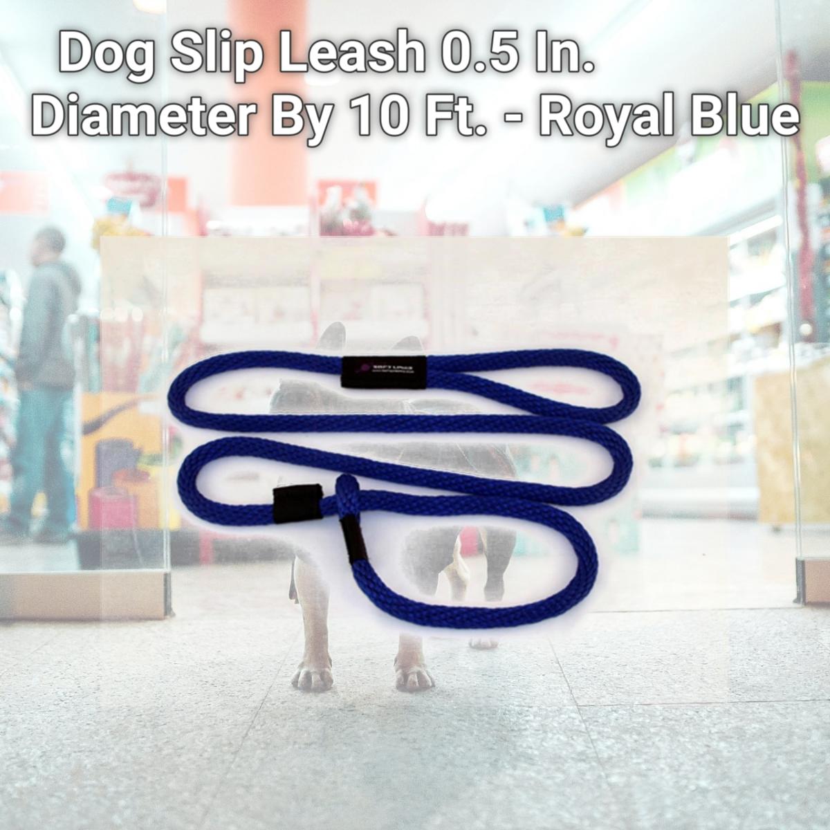 Picture of Soft Lines P20810ROYALBLUE Dog Slip Leash 0.5 In. Diameter By 10 Ft. - Royal Blue