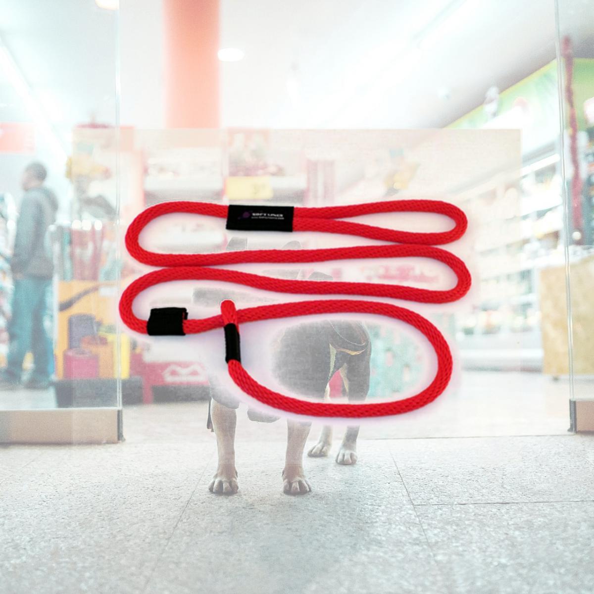 Picture of Soft Lines P21008RED Dog Slip Leash 0.62 In. Diameter By 8 Ft. - Red