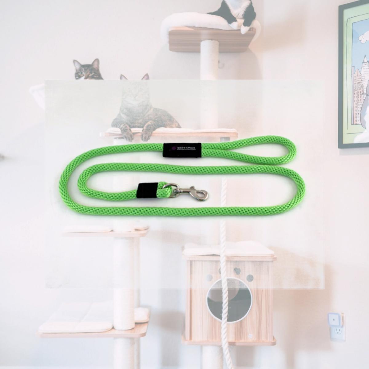 Picture of Soft Lines P10608LIMEGREEN Dog Snap Leash 0.37 In. Diameter By 8 Ft. - Lime Green