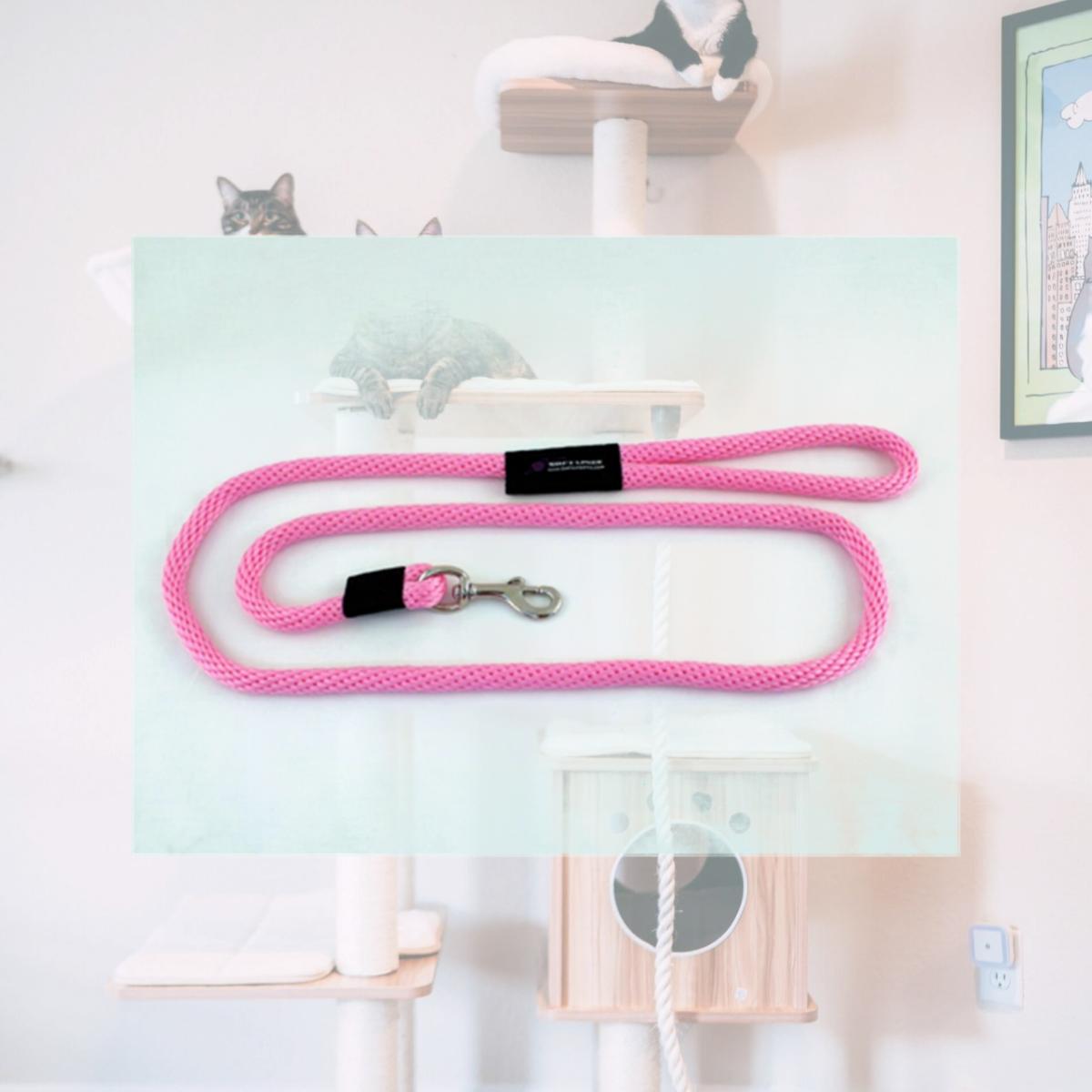 Picture of Soft Lines P10608HOTPINK Dog Snap Leash 0.37 In. Diameter By 8 Ft. - Hot Pink