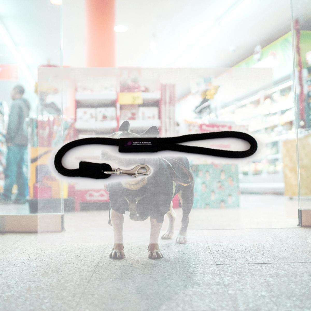 Picture of Soft Lines P10802BLACK Dog Snap Leash 0.5 In. Diameter By 2 Ft. - Black