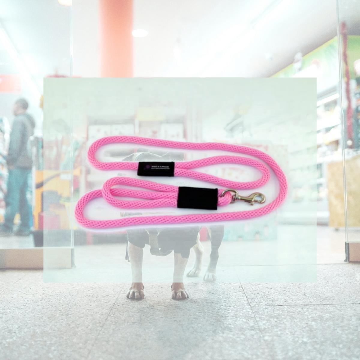 Picture of Soft Lines PSS10610HOTPINK 2 Handled Sidewalk Safety Dog Snap Leash 0.37 In. Diameter By 10 Ft. - Hot Pink