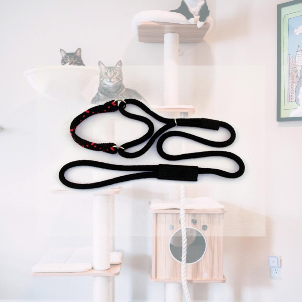 Picture of Soft Lines PML06BLACK-RED Martingale Dog Leash 6 Ft. Large- Black and Red