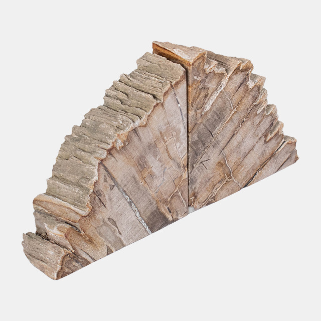 Picture of Sagebrook Home 19146 6 in. Petrified Wood Bookends - Brown