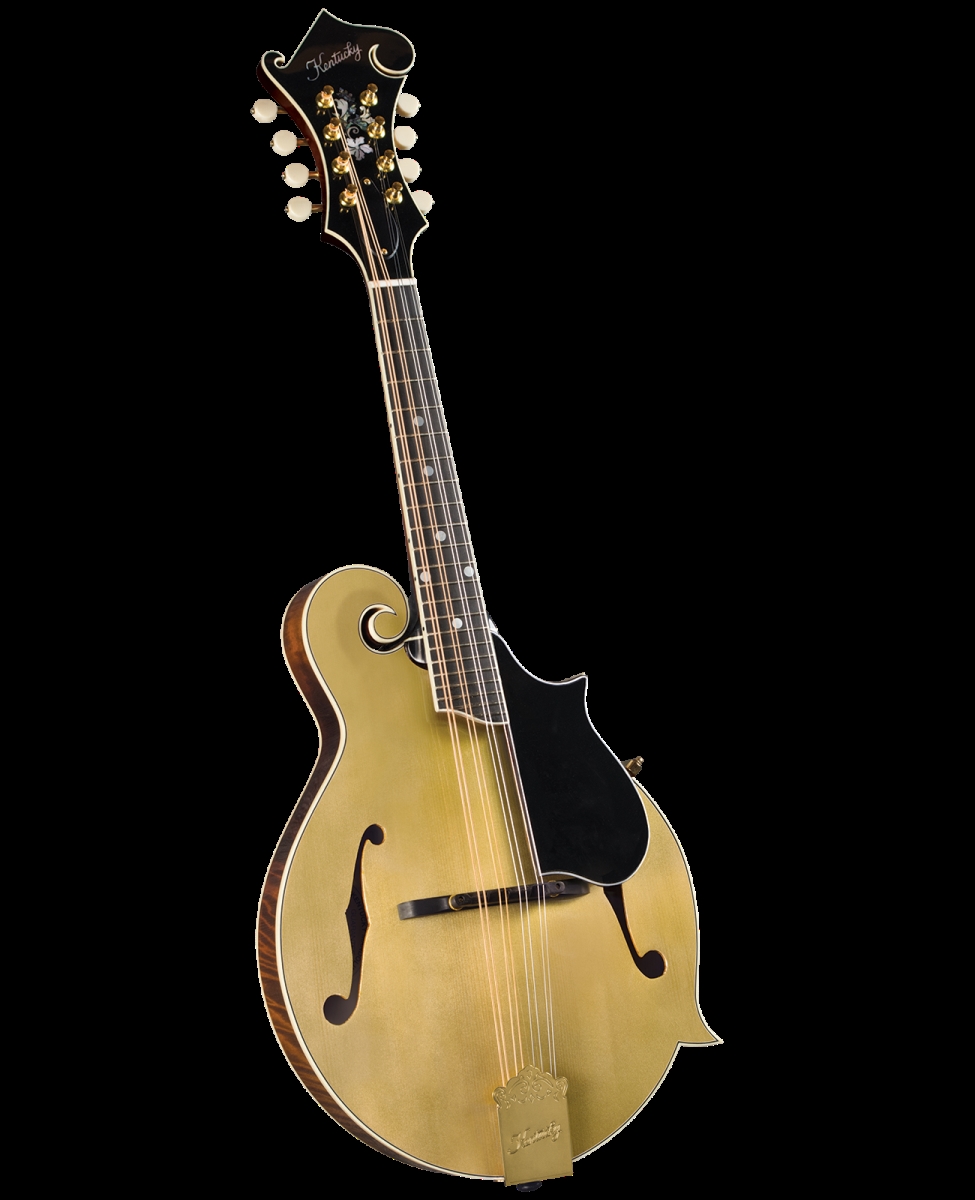 Picture of Kentucky KM-858 Artist F-Model Mandolin - Gold Top