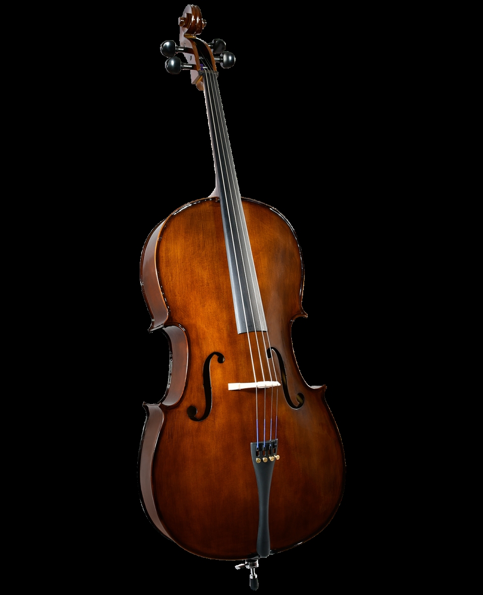 SC-175 3-4 0.75 in. Premier Student Cello Outfit
