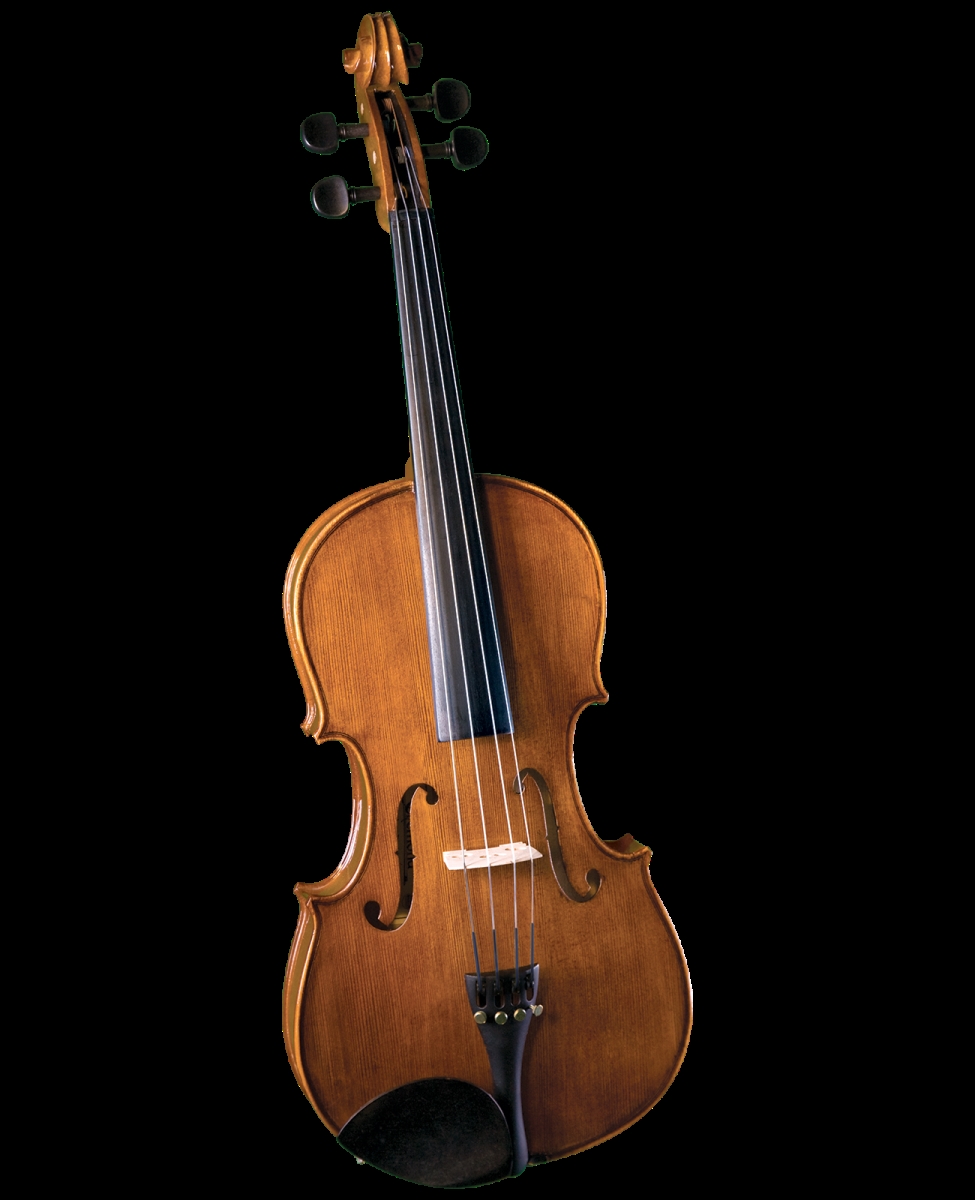 SVA-175 14 14 in. Premier Student Viola Outfit
