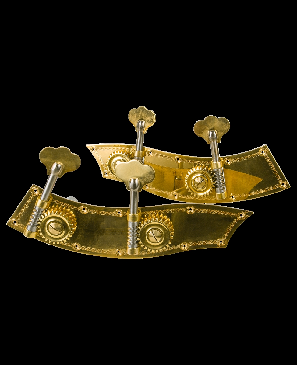 Picture of Anton Breton VP-6070 Student Upright Bass Tuning Machines - Gold