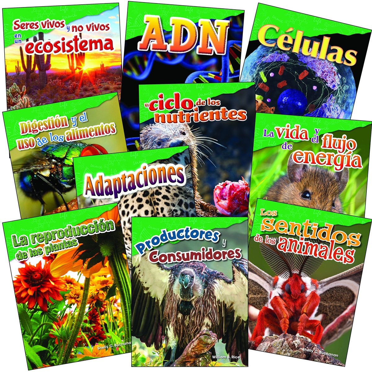 Picture of Shell Education 29608 Let us Explore Life Science Spanish 10 Book Set&#44; Grades 4-5