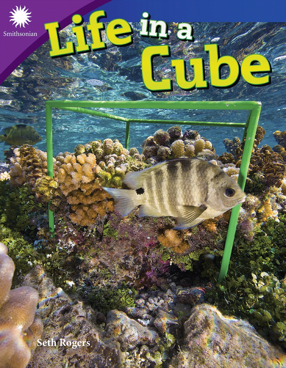 28922 Life in A Cube Book, Grade 4-8