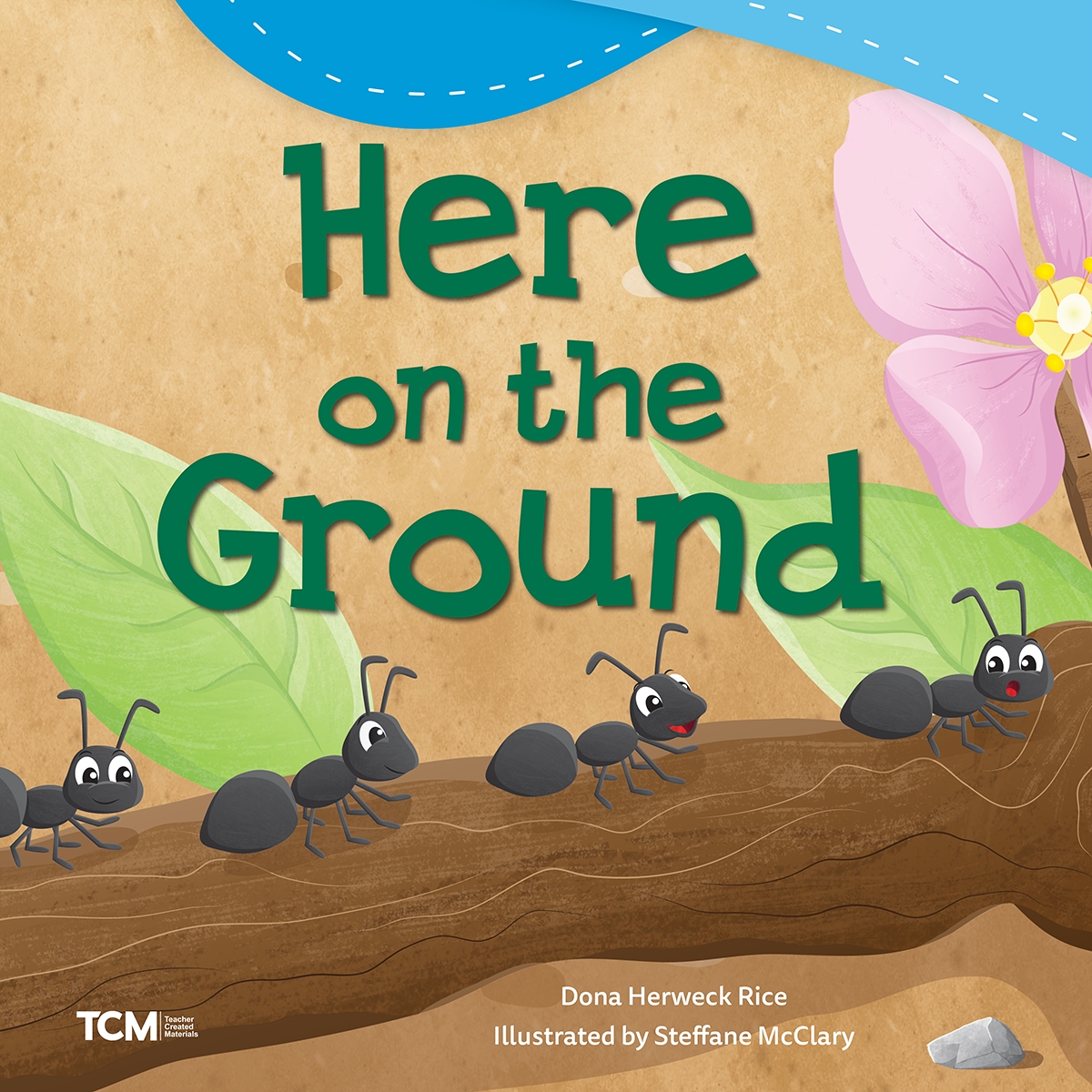 146715 Here on the Ground Book, Grade PK-1