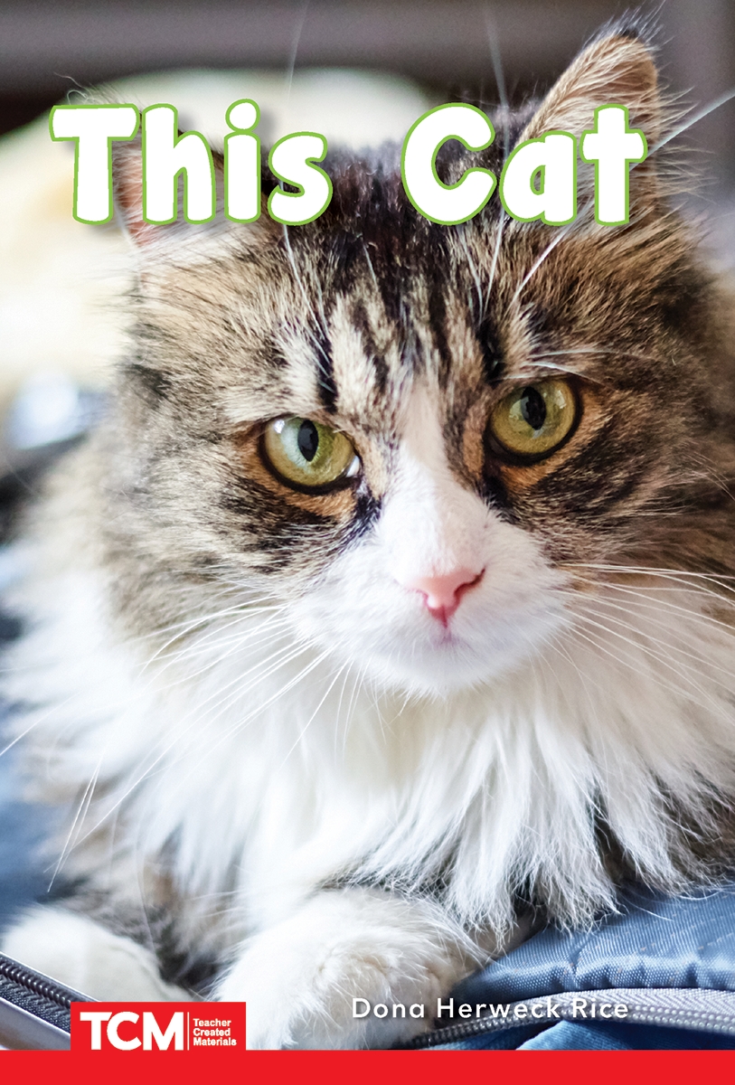 932908 This Cat Book, Grade PK-1