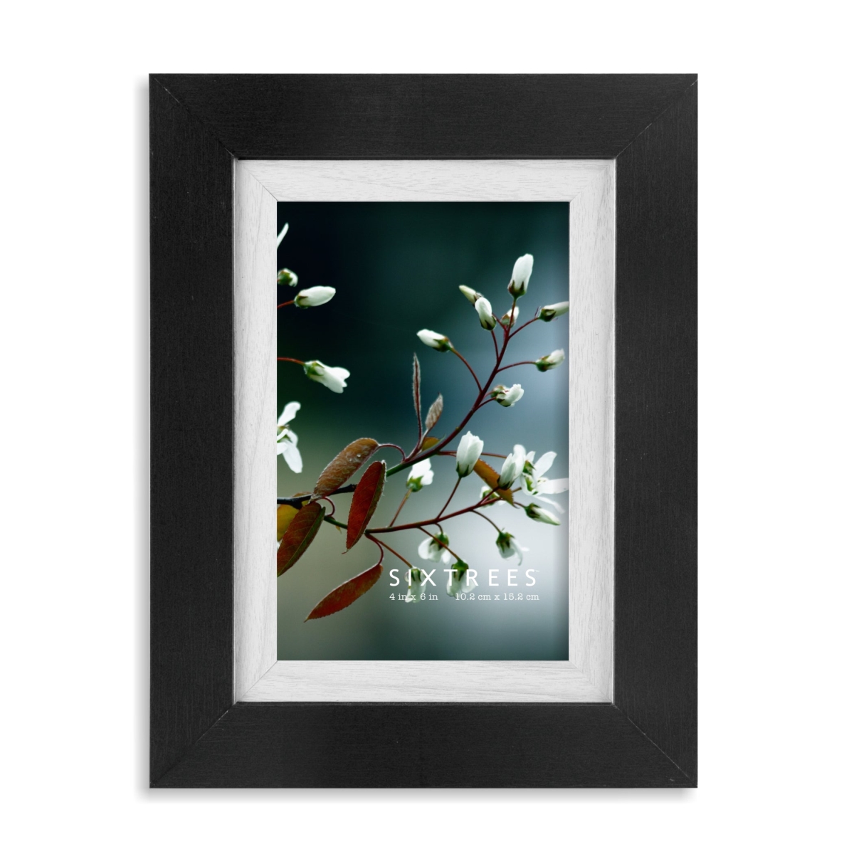 4 x 6 in. Shelby Black & White Dual Wood Picture Frame