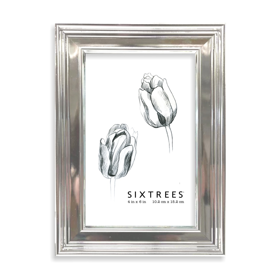 4 x 6 in. Fiona Silver Picture Frame
