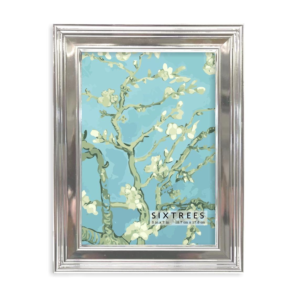 5 x 7 in. Fiona Silver Picture Frame
