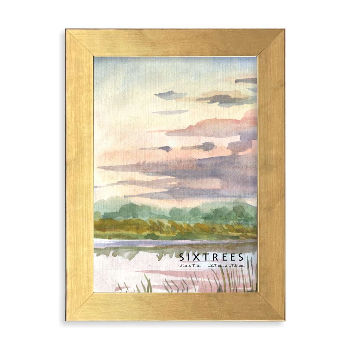 5 x 7 in. Chase Gold Picture Frame