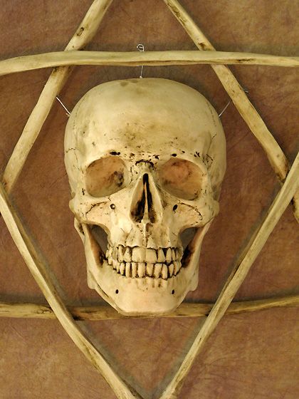 Wall Sconce, Life-Size Skull in Hexagram Bone Frame