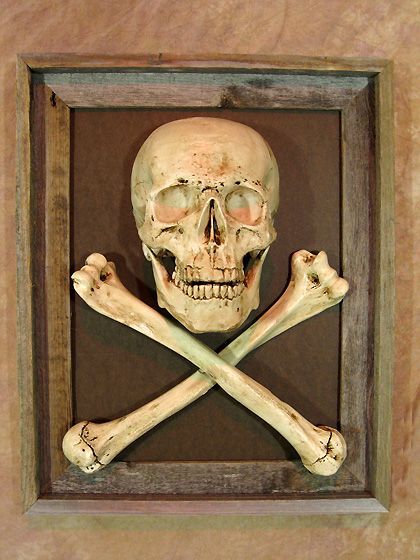 Framed 3D Life-Size Skull & Cross Bone