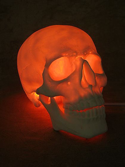 Lighted Two Piece Skull