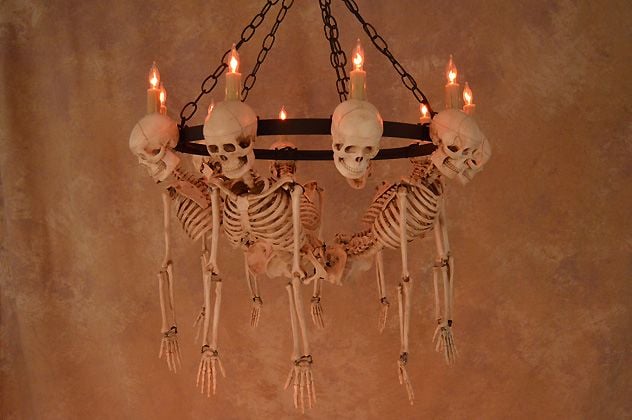 Five Harvey Jr. Skeleton Torsos on Metal Ring