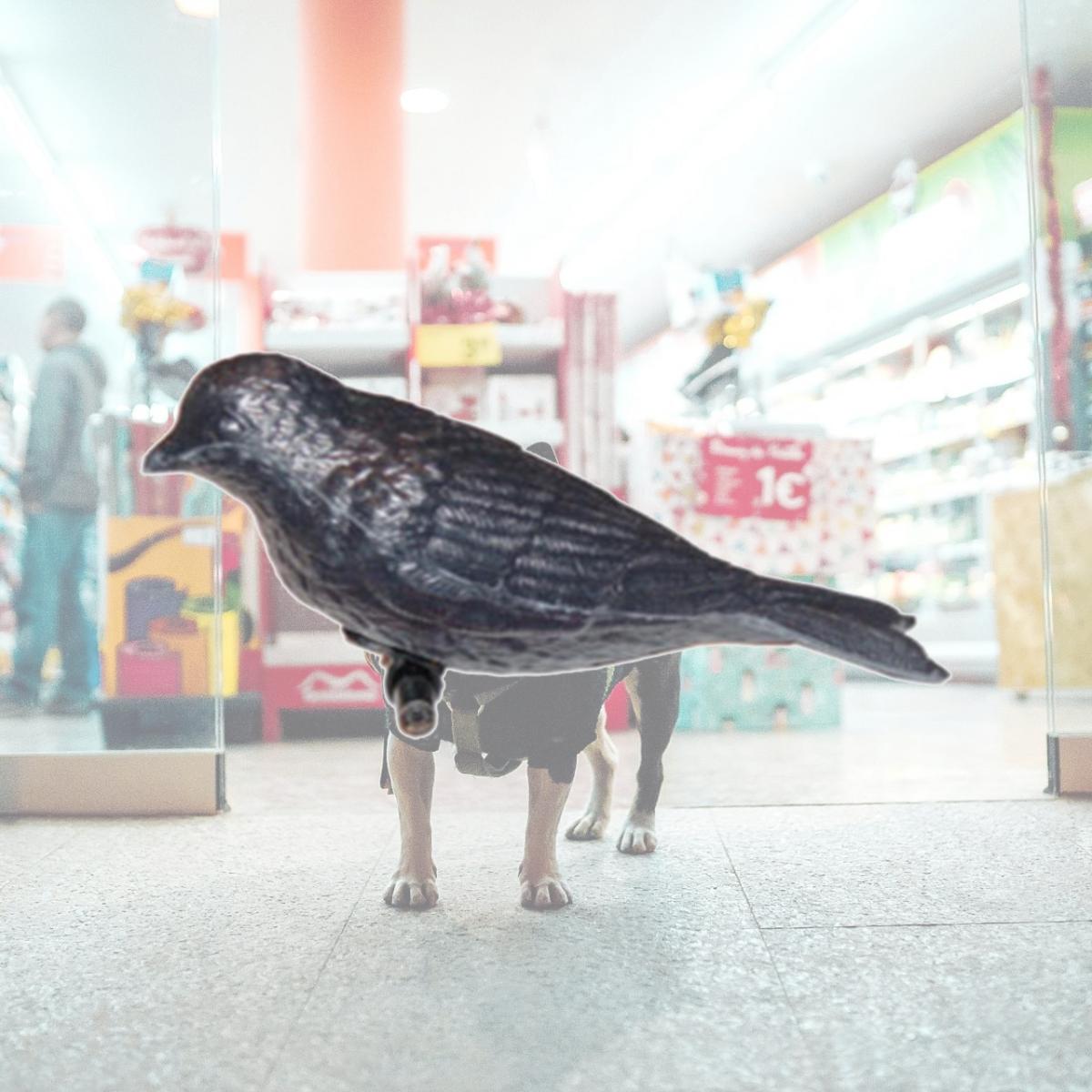 Picture of S&K Manufacturing PMD Purple Martin Decoy