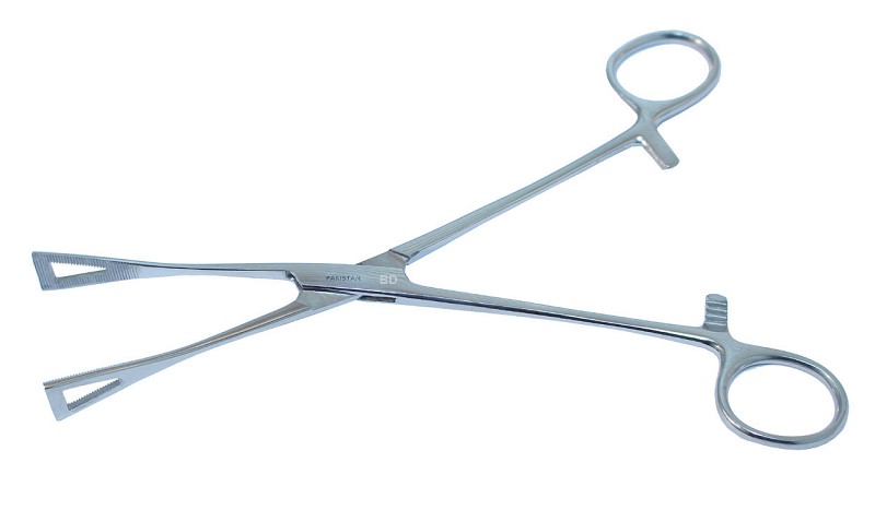 10261 6 in. Pennington Forceps Body Piercing Instrument - Stainless Steel