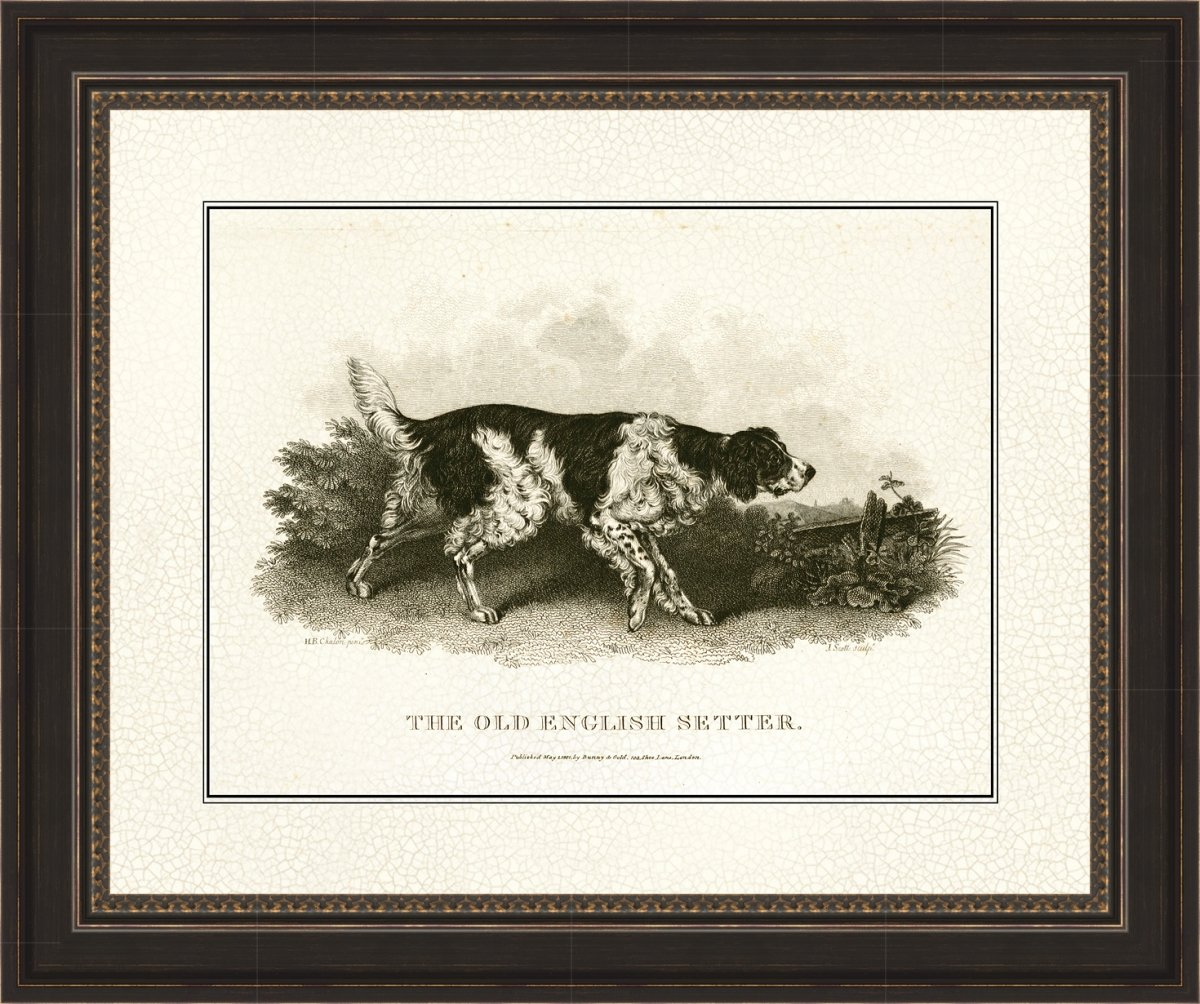 5124 Antique English Setter, Framed Fine Art Print with Glass -  Somerset House Publishing