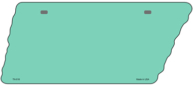 TN-016 5.5 x 12 in. Teal Solid Novelty Metal Tennessee License Plate Tag