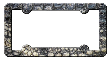 LPF-049 6 x 12 in. Gator Skin Novelty Metal License Plate Frame