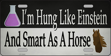 LP-13658 6 x 12 in. Hung Like Einstein Novelty Metal License Plate Tag