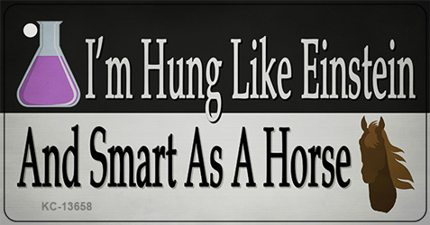 KC-13658 1.5 x 3 in. Hung Like Einstein Novelty Metal Key Chain