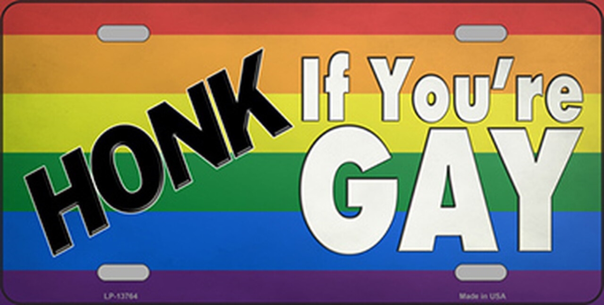 LP-13764 6 x 12 in. Honk If Youre Gay Novelty Metal License Plate Tag