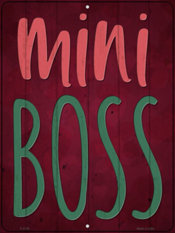 P-3759 9 x 12 in. Mini Boss Novelty Metal Parking Sign -  Smart Blonde