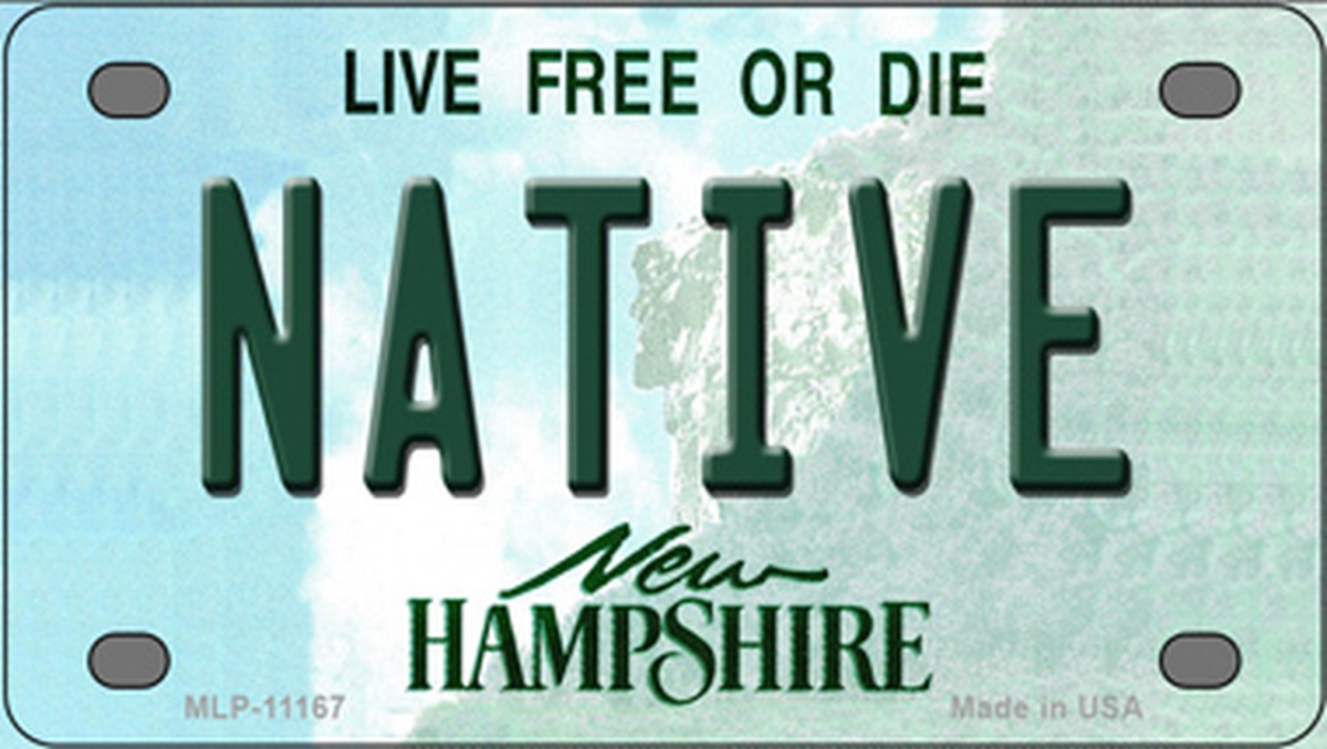MLP-11167 2.2 x 4 in. Native New Hampshire Novelty Mini Metal License Plate Tag -  Smart Blonde