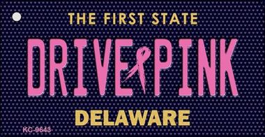 KC-9643 Drive Pink Delaware Novelty Key Chain - 1.5 x 3 in.